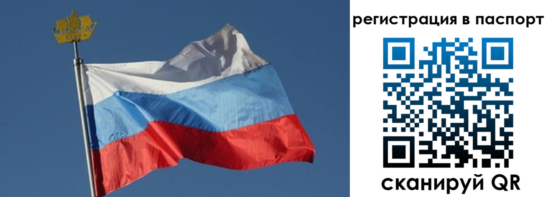 временная регистрация законно в Алексине